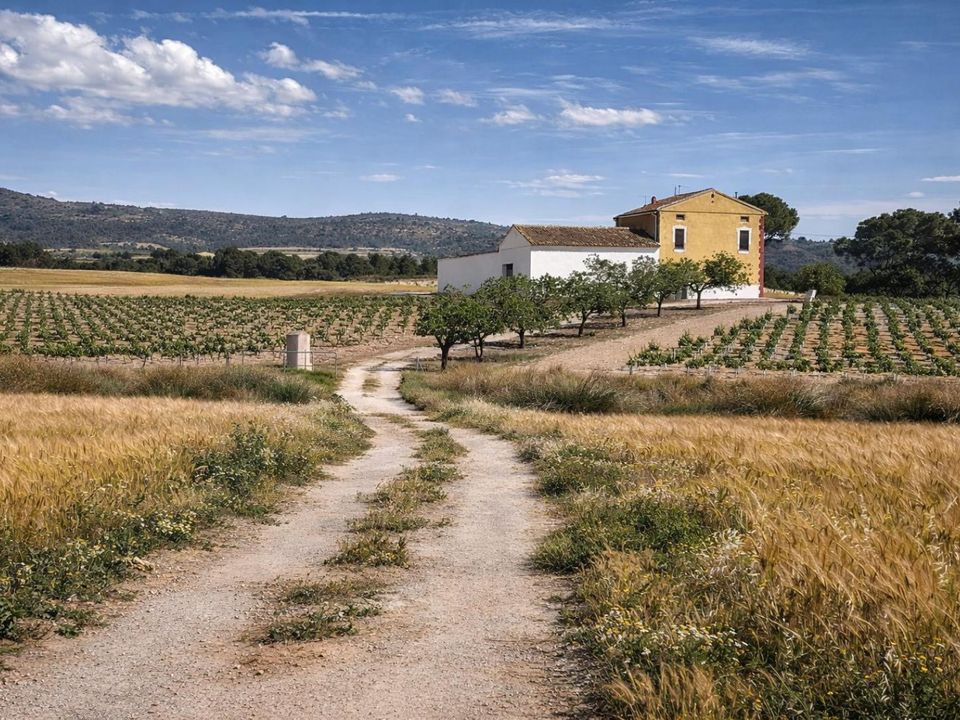Villa i Villena, Alicante - foto 1